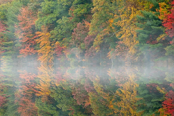 Hall Gölü Kıyılarının Sisli Sonbahar Manzarası Yankee Springs Eyalet Parkı — Stok fotoğraf