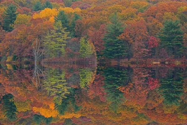 Podzimní Krajina Pobřeží Hall Lake Zrcadlovými Odlesky Klidné Vodě Yankee — Stock fotografie