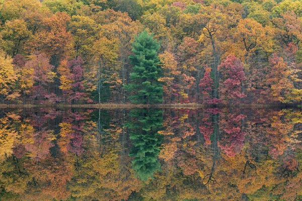 Autumn Landscape Shoreline Hall Lake Mirrored Reflections Calm Water Yankee — Stock Photo, Image
