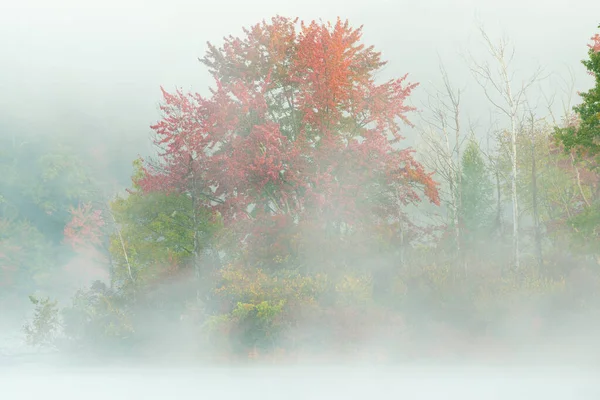 Φθινόπωρο Τοπίο Της Ακτογραμμής Του Hall Lake Στην Ομίχλη Ένα — Φωτογραφία Αρχείου