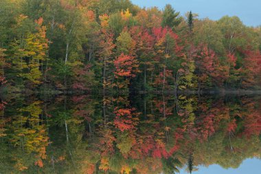 Thornton Gölü kıyı şeridi sakin sularda yansıyan yansımalarla sonbahar manzarası, Hiawatha Ulusal Ormanı, Michigans Yukarı Yarımadası, ABD
