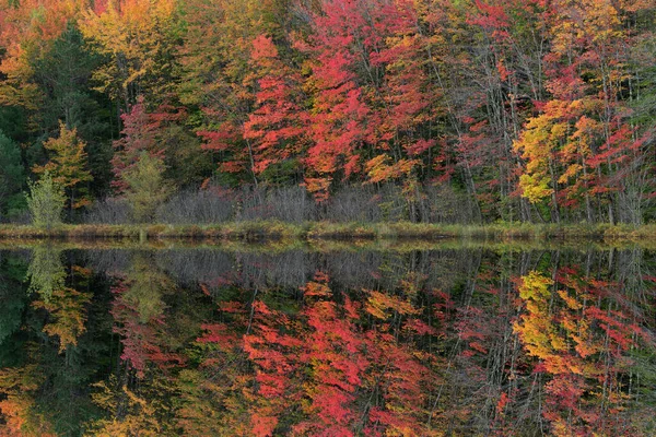 Hösten Landskap Stranden Thornton Lake Med Speglade Reflektioner Lugnt Vatten — Stockfoto