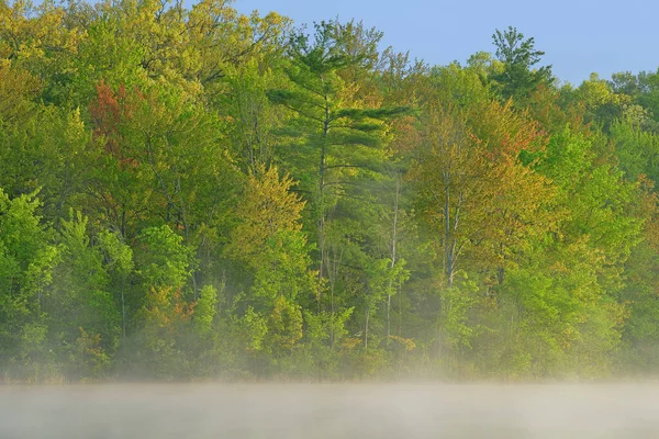 美国密歇根州扬基泉州立公园长湖海岸线日出时的多雾的春景 — 图库照片