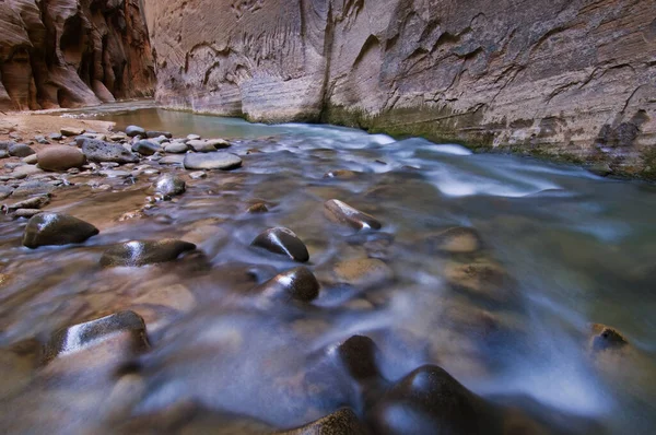 Landscape Virgin River Narrows Captured Motion Blur Zion National Park — Stock Photo, Image