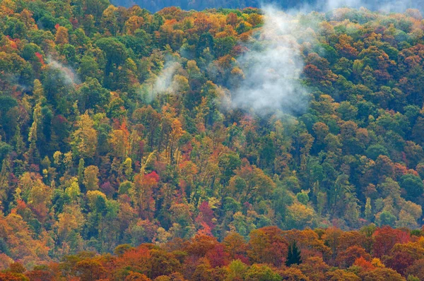 米国ノースカロライナ州ブルーリッジ パークウェイからの秋の風景 — ストック写真