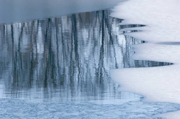 Paysage Hivernal Abstrait Reflets Arbres Nus Dans Eau Lac Encadré — Photo