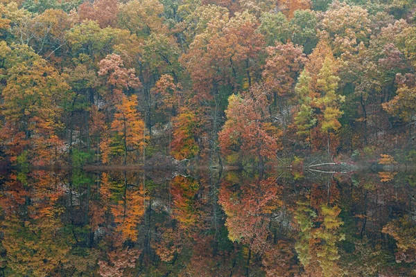 美国密歇根州立公园 豪尔湖畔的秋景 白雪密布 清澈的湖面映衬着反光 — 图库照片