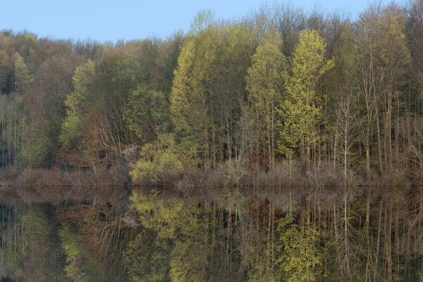 Tavaszi Táj Partvonal Twin Lakes Tükrözött Reflexiók Nyugodt Vízben Michigan — Stock Fotó