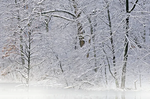 Winterlandschaft Nebel Des Schneebedeckten Ufers Des Hall Lake Yankee Springs — Stockfoto