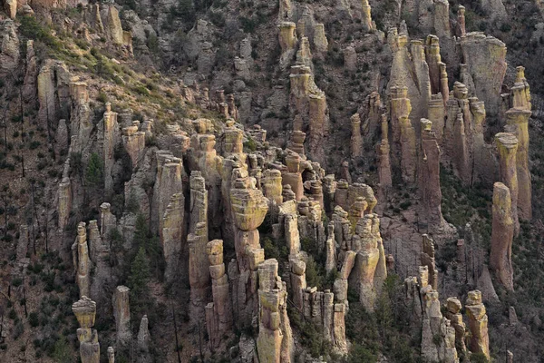 Пейзаж Національного Пам Ятника Чірікахуа Заході Сонця Штат Арізона Сша — стокове фото