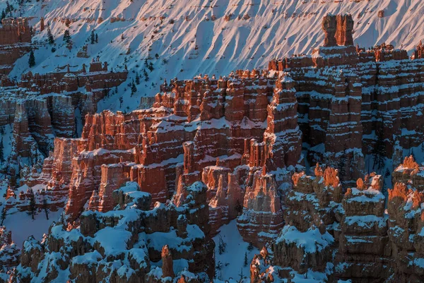 Winterlandschaft Kurz Nach Sonnenaufgang Der Hoodoos Bryce Canyon National Park — Stockfoto