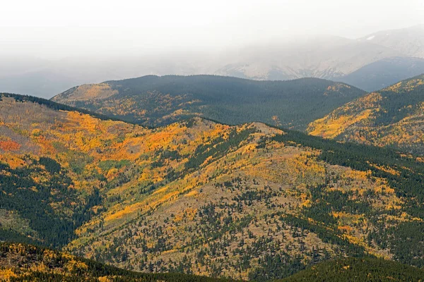 Paisagem Outono Nebulosa Floresta Álamo Tirada Evans Rocky Mountains Colorado — Fotografia de Stock