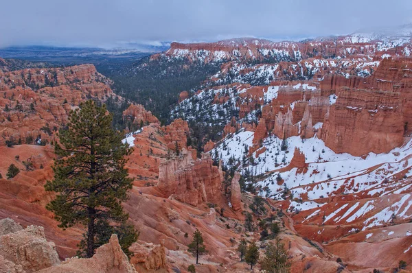 Winter Landscape Hoodoos Bryce Canyon National Park Utah Usa — Stock Photo, Image