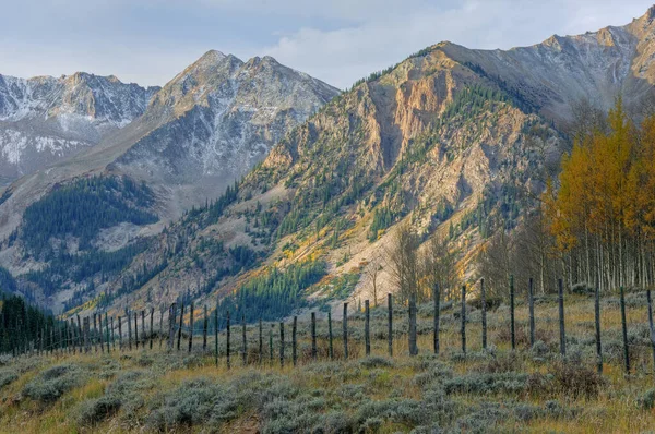 Paisagem Outono Das Montanhas Elk Castle Creek Road Perto Aspen — Fotografia de Stock