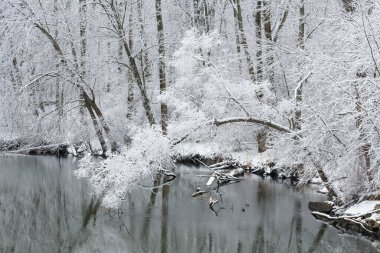 Karların kış manzarası Kalamazoo Nehri, Michigan, ABD 'nin kıyı şeridine yığıldı.