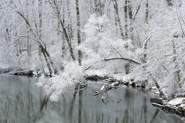 Winter Landscape Snow Flocked Shoreline Kalamazoo River Michigan Usa — Stock Photo, Image