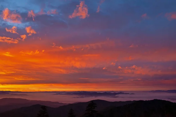 Krajobraz Świcie Kopuły Clingmana Park Narodowy Great Smoky Mountains Tennessee — Zdjęcie stockowe