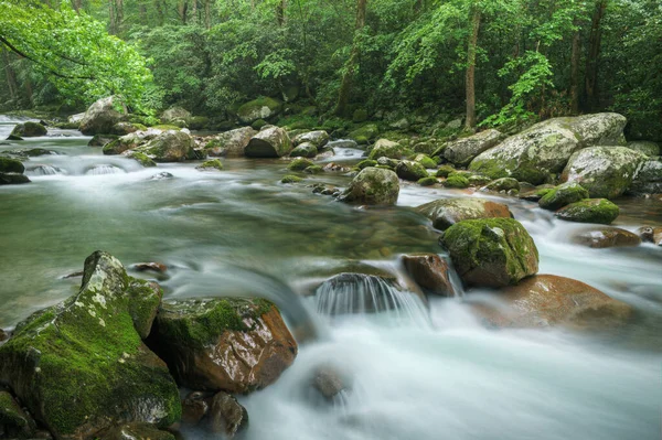 Big Creek Bahar Manzarası Hareket Bulanıklığıyla Great Smoky Dağları Ulusal — Stok fotoğraf