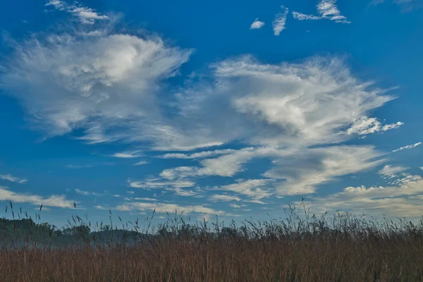 美国密歇根州卡斯特堡州立公园 高草草原的秋景和薄雾中的云彩 — 图库照片