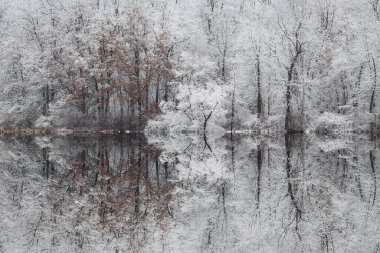 Jackson Hole Gölü 'nün kış manzarası sakin sularda yansıyan yansımalarla dolup taştı. Fort Custer State Park, Michigan, ABD