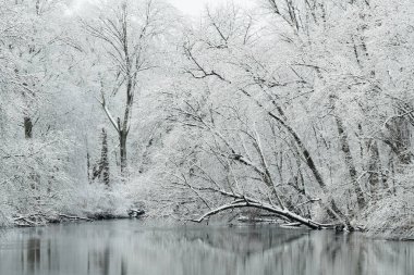 Karların kış manzarası Kalamazoo Nehri, Michigan, ABD 'nin kıyı şeridine yığıldı.