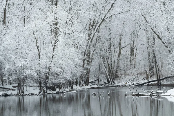 Winter Landscape Snow Flocked Shoreline Kalamazoo River Michigan Usa — Stock Photo, Image
