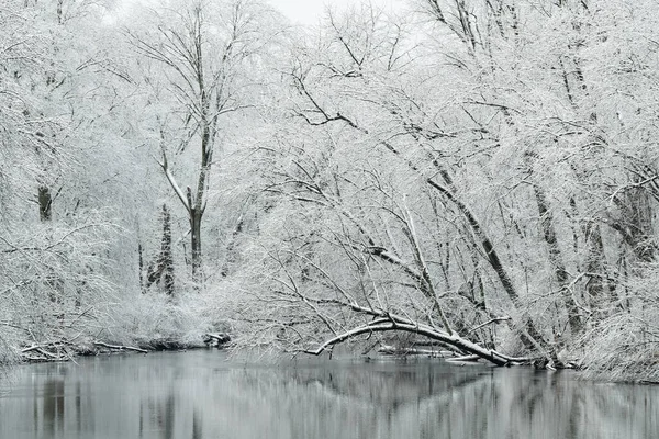 Winter Landscape Snow Flocked Shoreline Kalamazoo River Michigan Usa — Stock Photo, Image