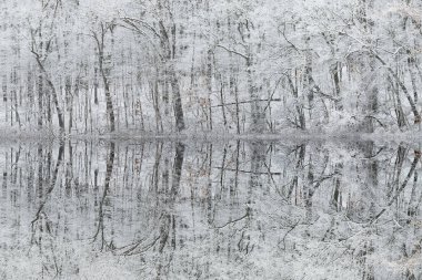 Warner Gölü 'nün kış manzarası sakin sularda yansıyan yansımalarla dolup taştı.