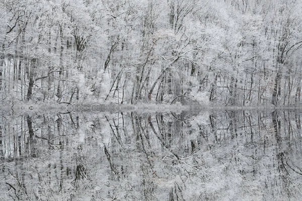 Winter Landscape Snow Flocked Shoreline Warner Lake Mirrored Reflections Calm — Stock Photo, Image