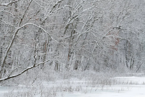 雪の冬の風景は 米国ミシガン州ワーナー湖の海岸線に浮かぶ — ストック写真