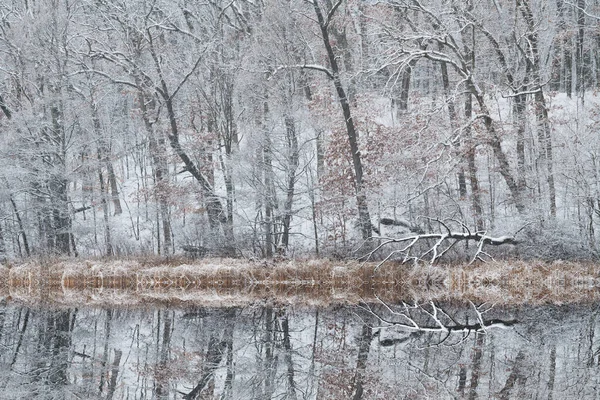 Winter Landscape Snow Flocked Shoreline Deep Lake Mirrored Reflections Calm — Stock Photo, Image