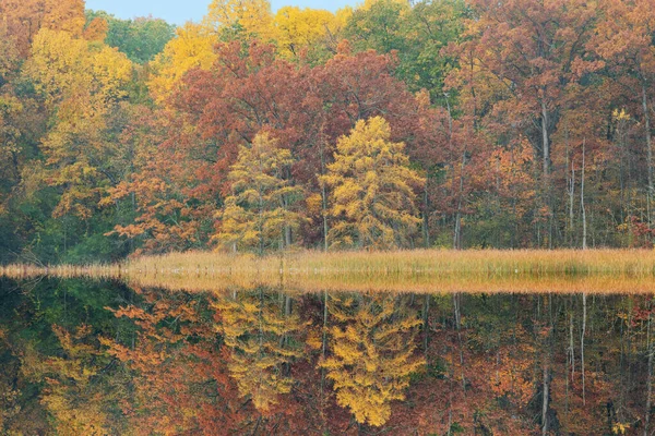 Autumn Landscape Shoreline Douglas Lake Mirrored Reflections Calm Water Michigan — Stock Photo, Image