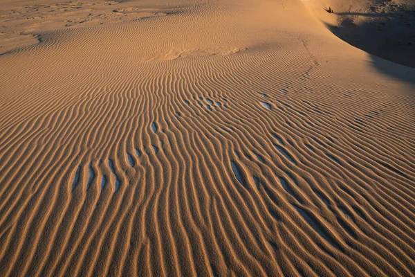 Αφηρημένη Άμμο Και Χιόνι Μοτίβο Χειμώνας Silver Lake Sand Dunes — Φωτογραφία Αρχείου
