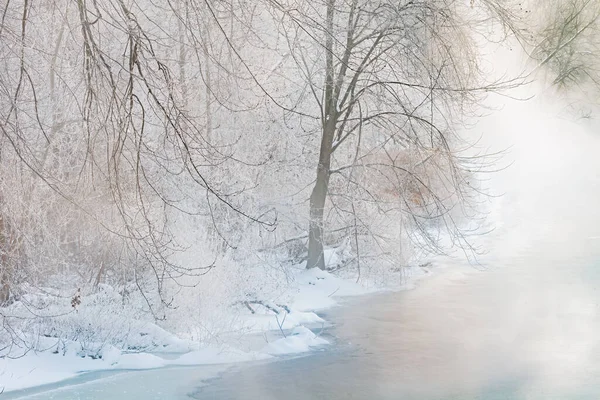 Пейзаж Снега Стекался Рассвете Вдоль Туманной Реки Каламазу Мичиган Сша — стоковое фото