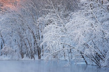 Kalamazoo Nehri 'nin sisli kıyı şeridi, Michigan, ABD' de karlı ağaçlarla doludur.