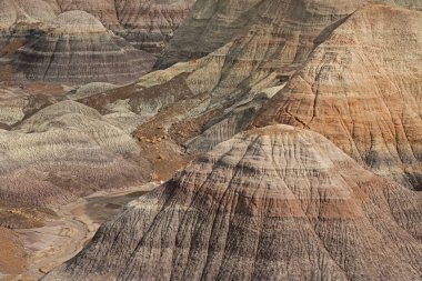 Çorak arazi manzarası ve taşlaşmış odun, Taşlaşmış Orman Ulusal Parkı, Arizona, ABD