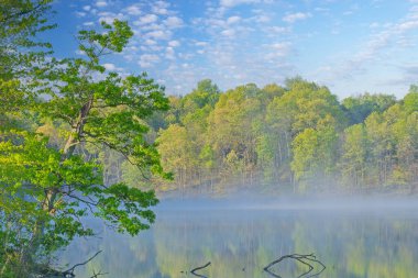 Kartal Gölü 'nün sisli bahar kıyı şeridinin sakin sulardaki yansımalarıyla, Fort Custer State Park, Michigan, ABD