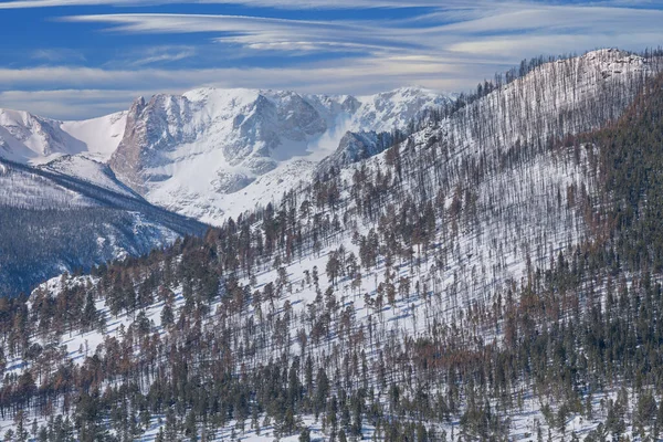 Winterlandschaft Bei Sonnenaufgang Des Schnees Rocky Mountains Rocky Mountain National — Stockfoto