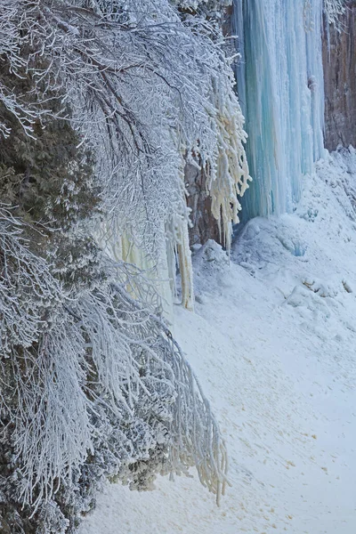 美国密歇根州上半岛Tahquamenon Falls州立公园Tahquamenon河结霜结冰海岸线冬季景观 — 图库照片