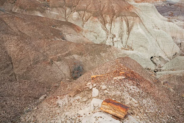 Landscape Badlands Petrified Wood Petrified Forest National Park Arizona Usa — Stock Photo, Image