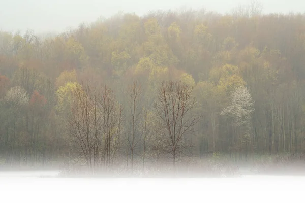 Foggy Spring Landscape Dawn Shoreline Twin Lakes Fog Michigan Usa — Stock Photo, Image