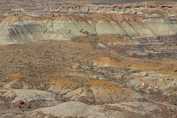 Landschaft Aus Badlands Und Versteinertem Holz Petrified Forest National Park — Stockfoto