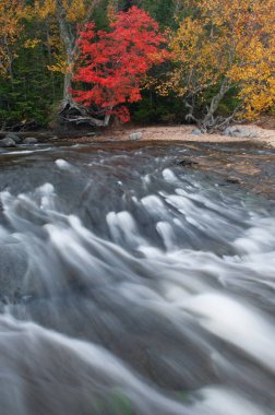 Kasırga Nehri 'nin manzarası ve Resimli Kayalar Ulusal Lakeshore' da Superior Gölü kıyıları, sonbahar, Michigan 'ın Yukarı Yarımadası, ABD