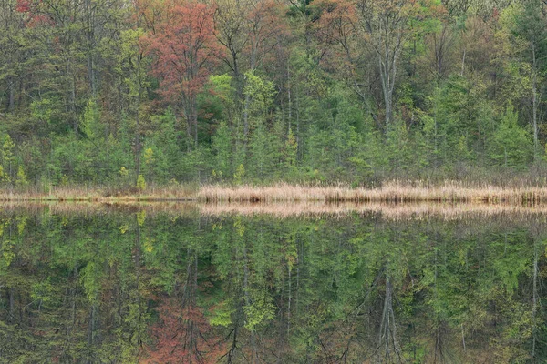 Paisagem Primavera Costa Lago Williams Com Reflexos Espelhados Águas Calmas — Fotografia de Stock