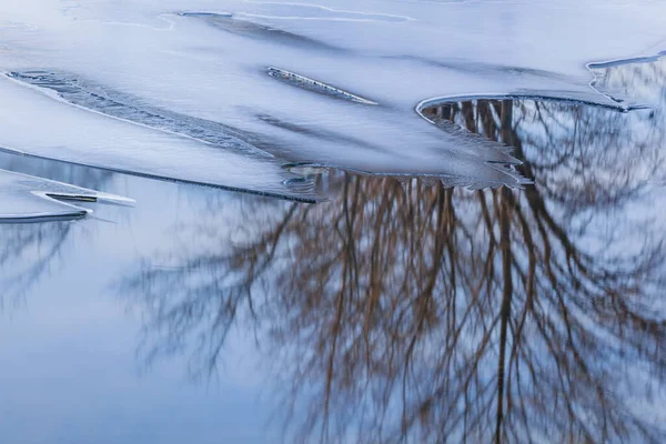 Streszczenie Zimowego Krajobrazu Lodu Drzew Odbitych Spokojnej Wodzie Jezioro Doster — Zdjęcie stockowe