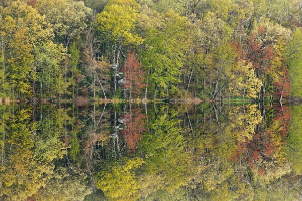 穏やかな水の中に鏡の反射とロング湖の海岸線の春の風景 ヤンキースプリングス州立公園 ミシガン州 アメリカ — ストック写真