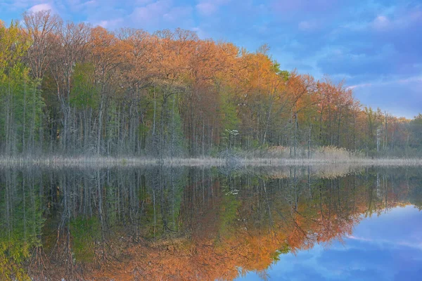 Spring Landscape Sunrise Shoreline Deep Lake Dogwood Bloom Mirrored Reflections — Stock Photo, Image