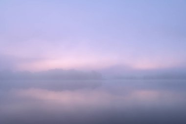 Whitford Gölü 'nün şafak vakti sisli, yaz kıyı şeridi Fort Custer State Park, Michigan, ABD