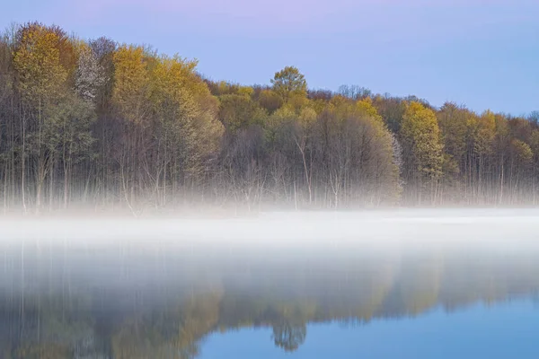 Foggy Spring Landscape Dawn Shoreline Twin Lakes Fog Michigan Usa — Stockfoto