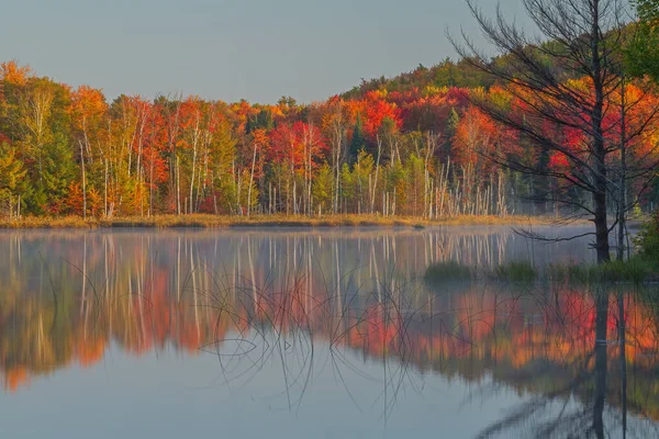 Podzimní Krajina Council Lake Zrcadlovými Odlesky Stromů Klidné Vodě Hiawatha — Stock fotografie